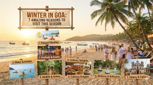 Winter in Goa: Motorcyclist’s Guide to Best Riding Season