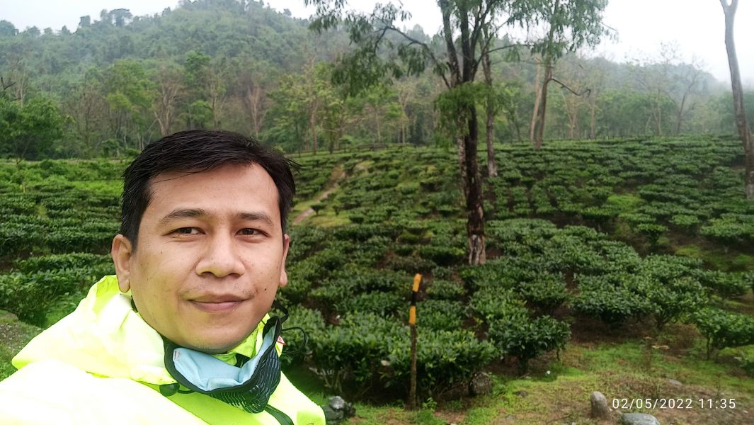 Somewhere at Tea Gardens